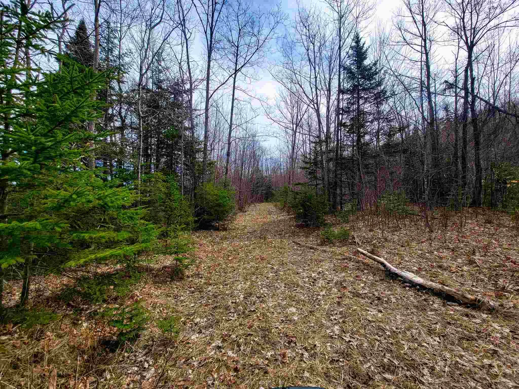7599 Scott Highway Groton VT 05046