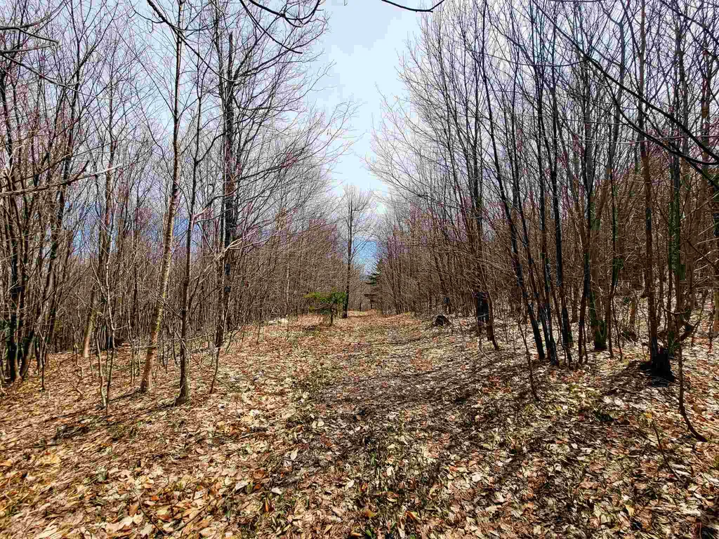 7599 Scott Highway Groton VT 05046