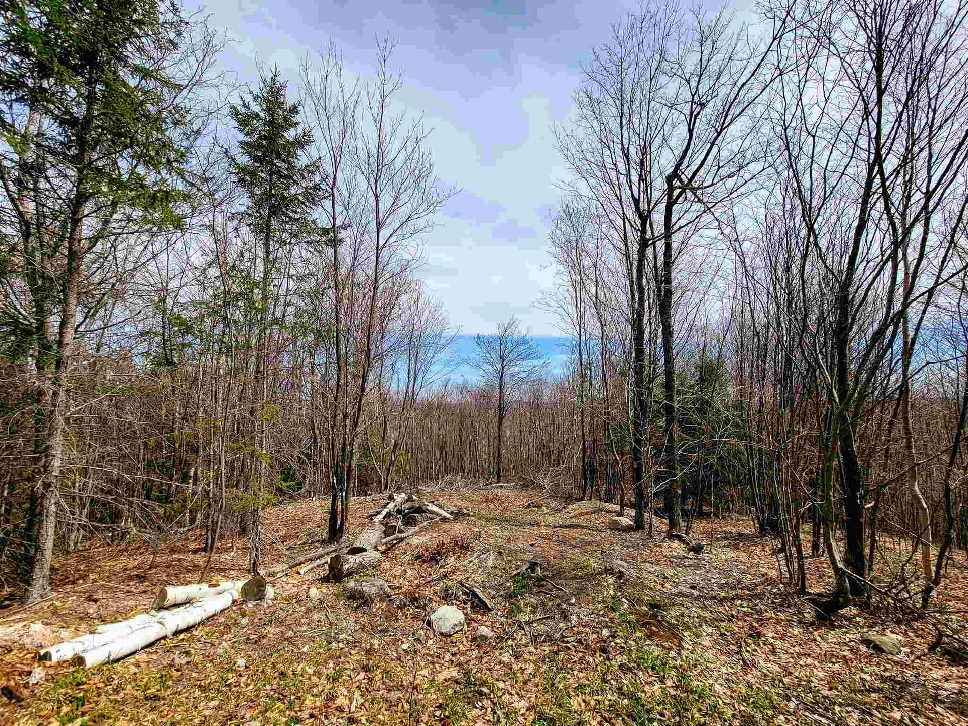 7599 Scott Highway Groton VT 05046