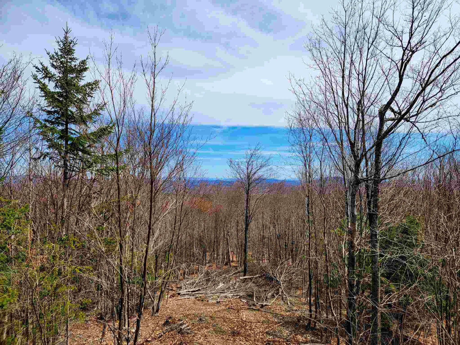 7599 Scott Highway Groton VT 05046