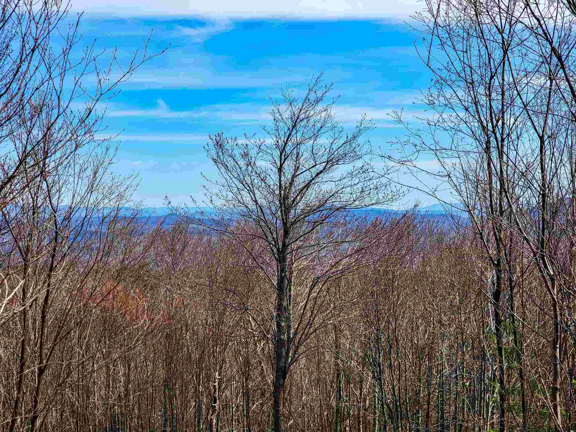 7599 Scott Highway Groton VT 05046