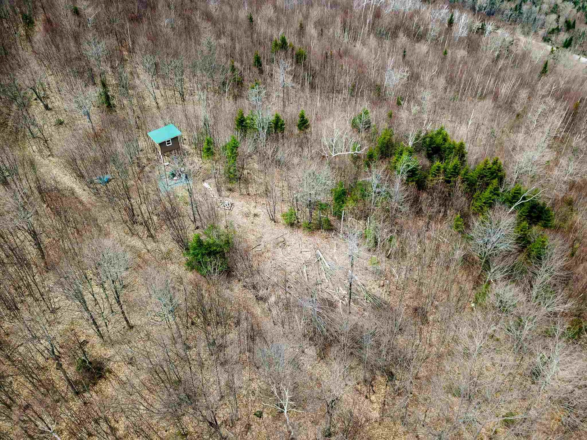 7599 Scott Highway Groton VT 05046