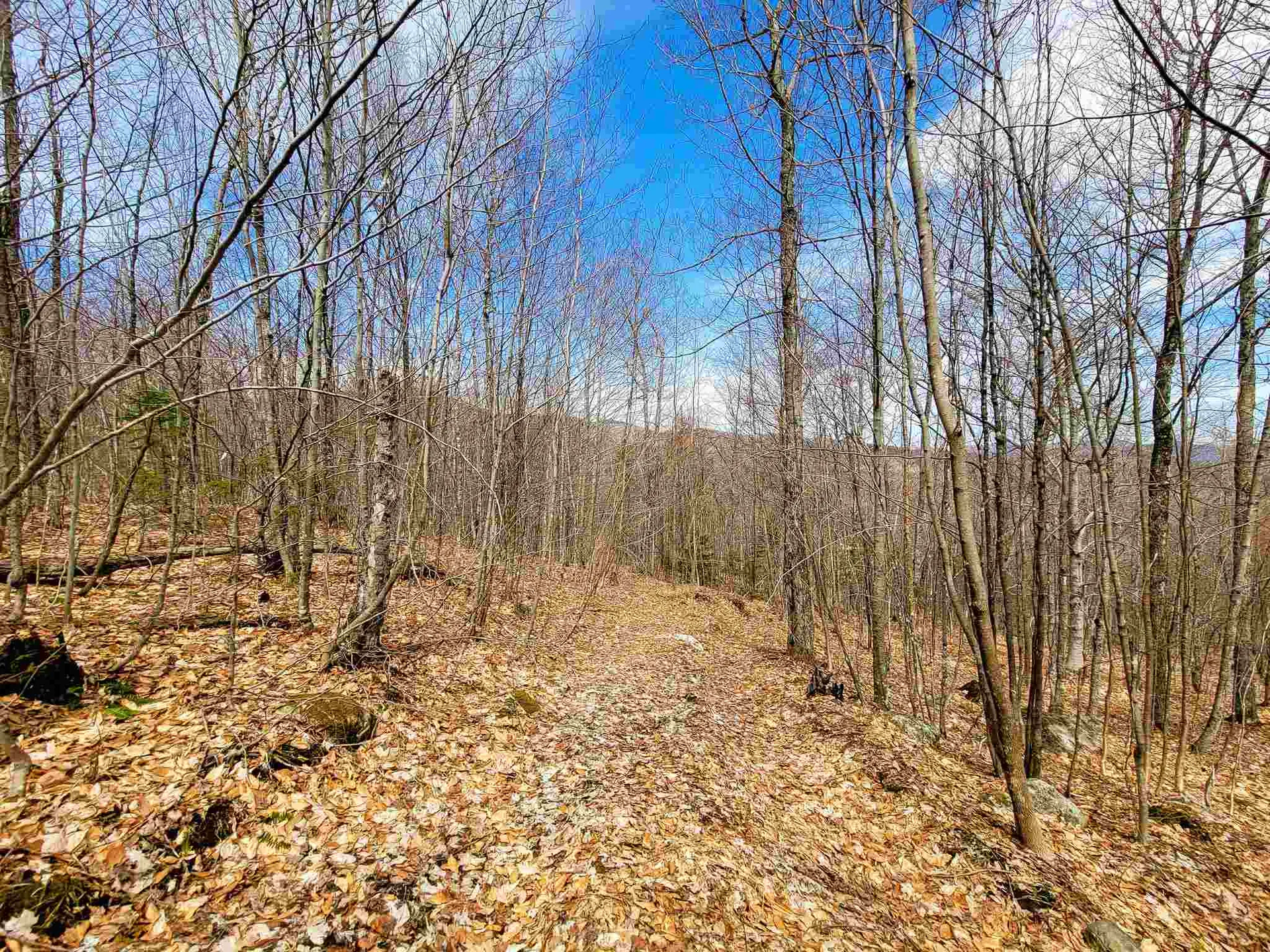 7599 Scott Highway Groton VT 05046