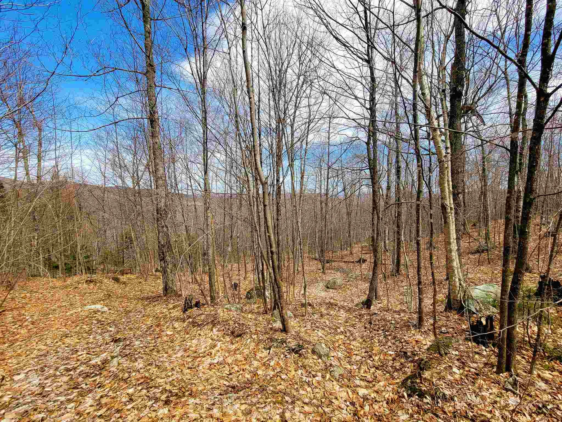 7599 Scott Highway Groton VT 05046