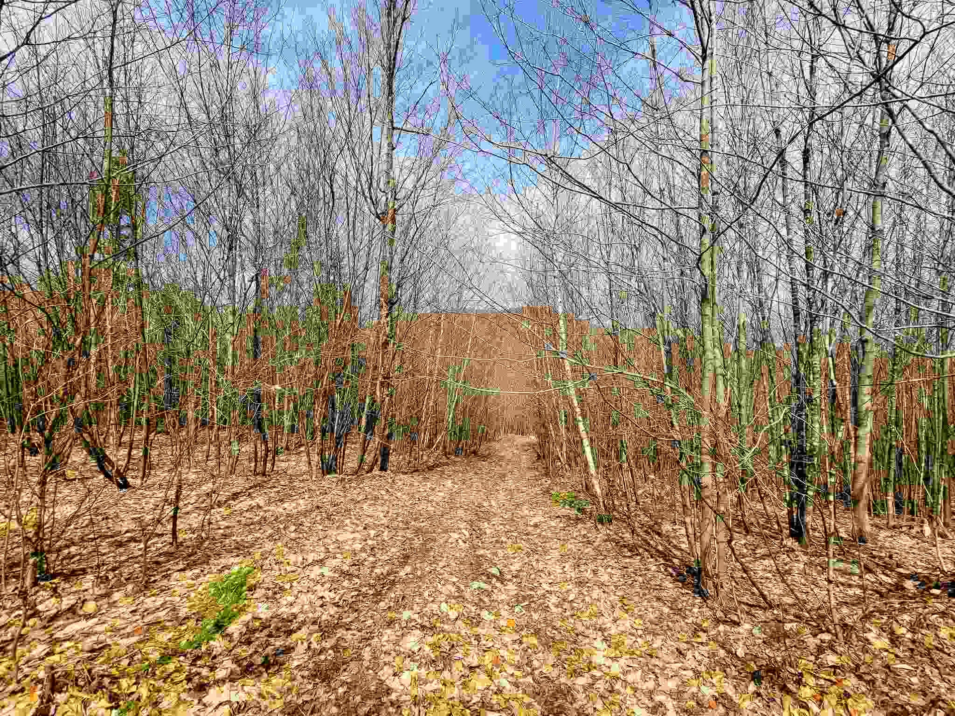 7599 Scott Highway Groton VT 05046