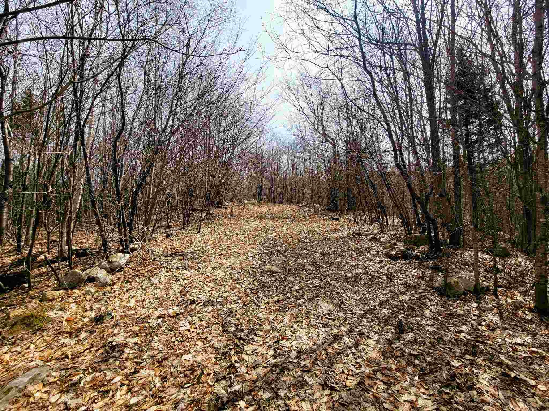7599 Scott Highway Groton VT 05046