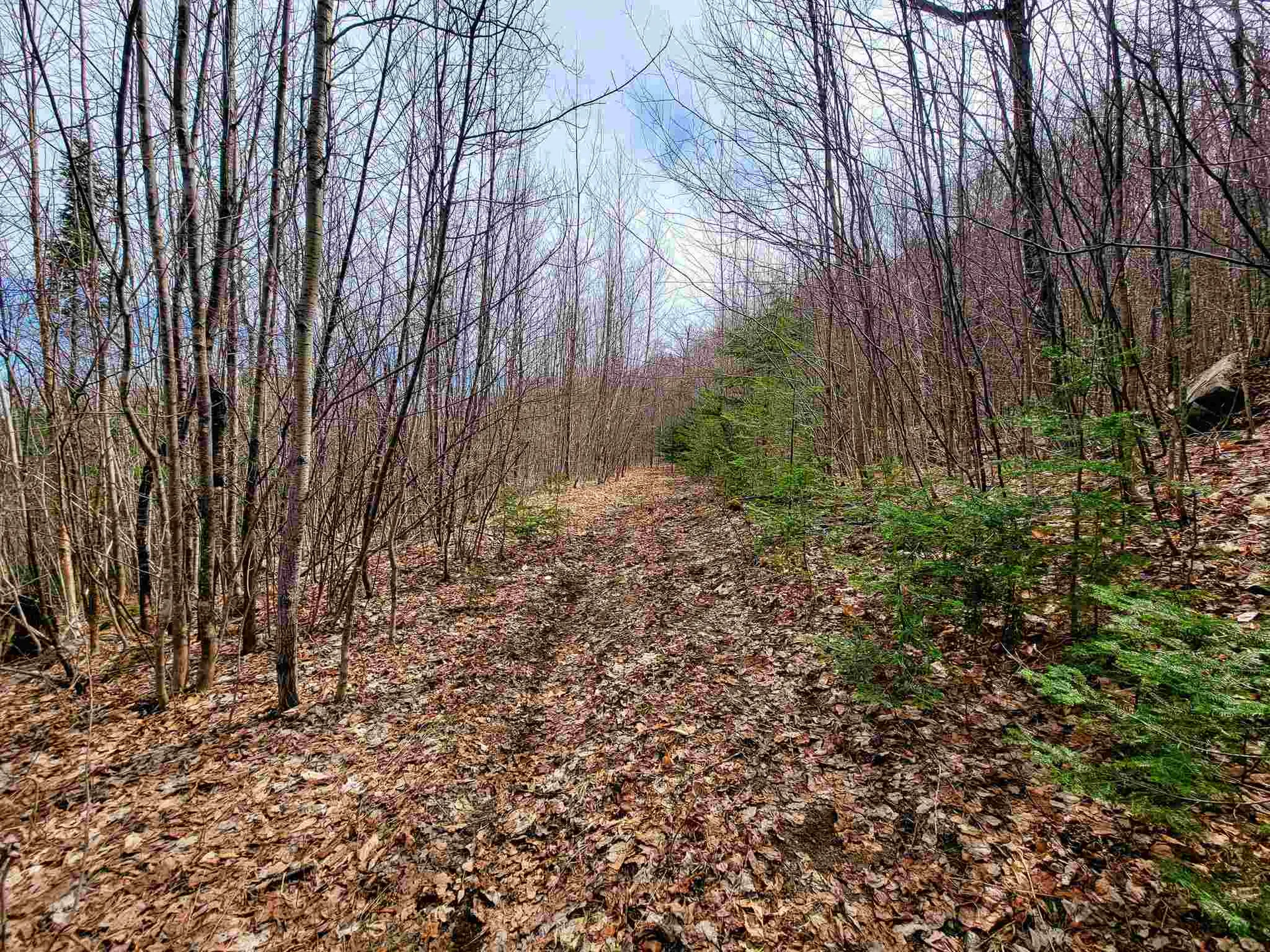 7599 Scott Highway Groton VT 05046