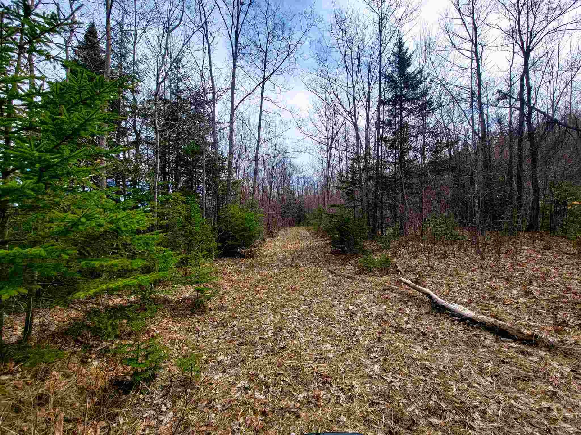 7599 Scott Highway Groton VT 05046