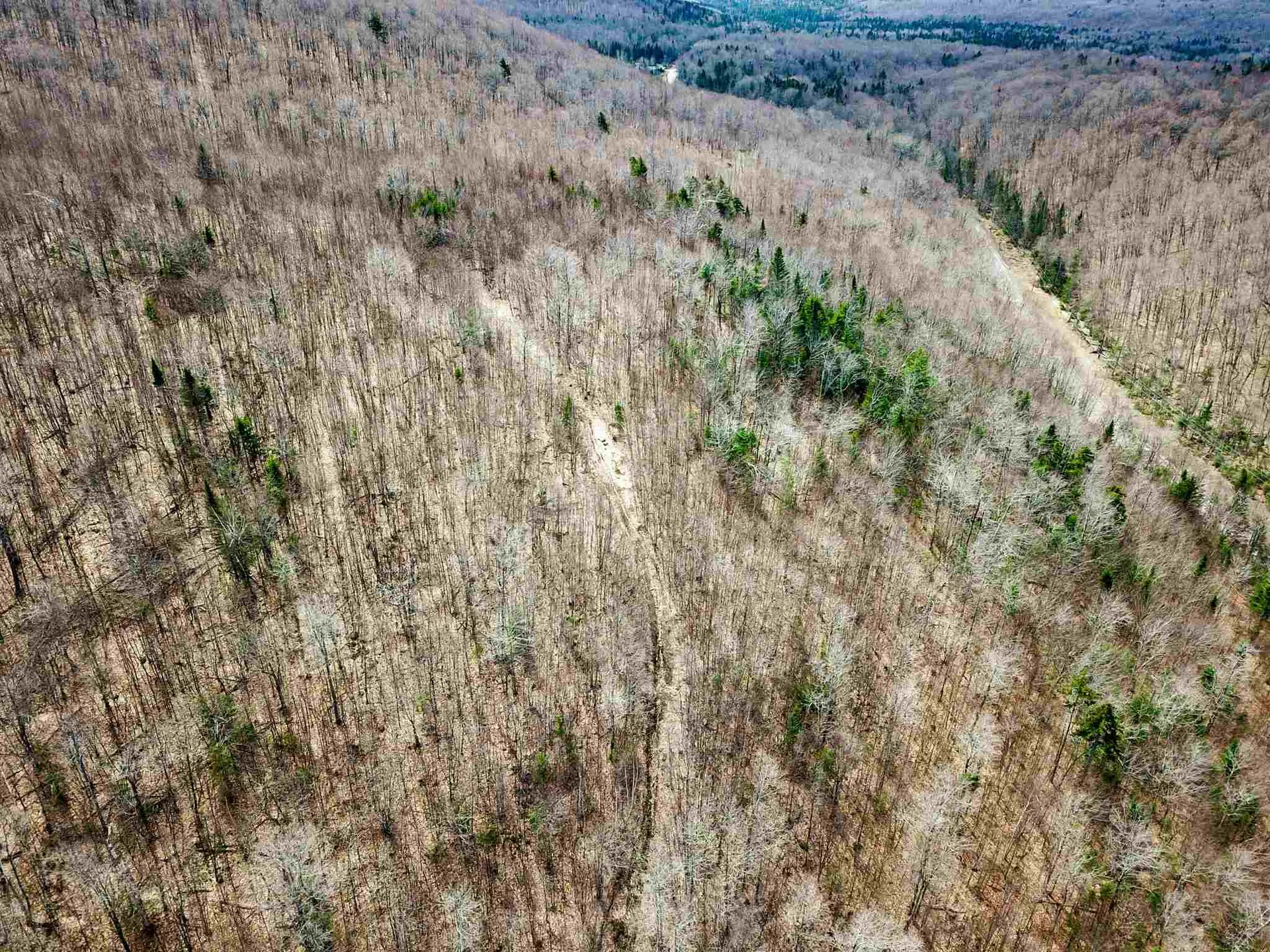 7599 Scott Highway Groton VT 05046