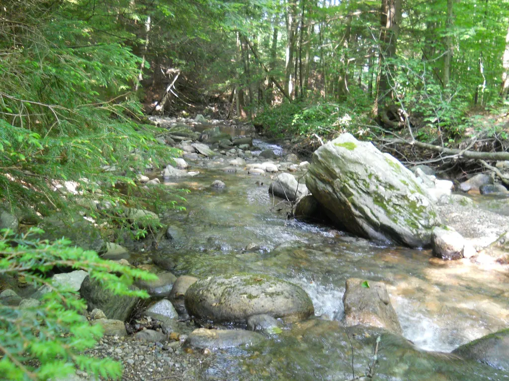 000 Lockwood Brook Road Fayston VT 05673