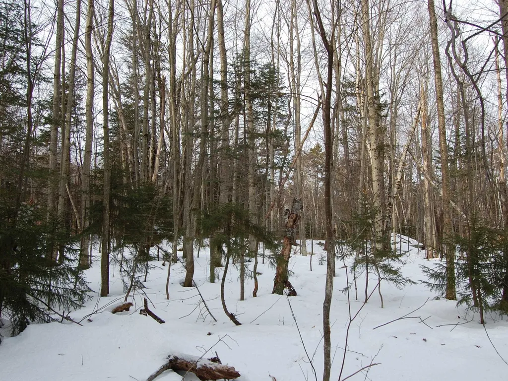000 Lockwood Brook Road Fayston VT 05673
