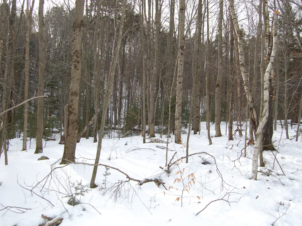 000 Lockwood Brook Road Fayston VT 05673