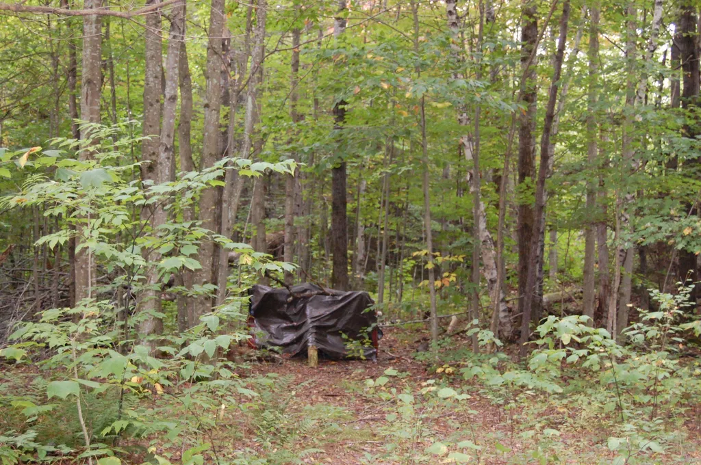 000 Lockwood Brook Road Fayston VT 05673