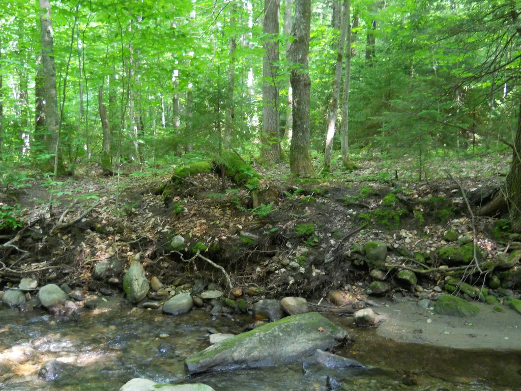 000 Lockwood Brook Road Fayston VT 05673