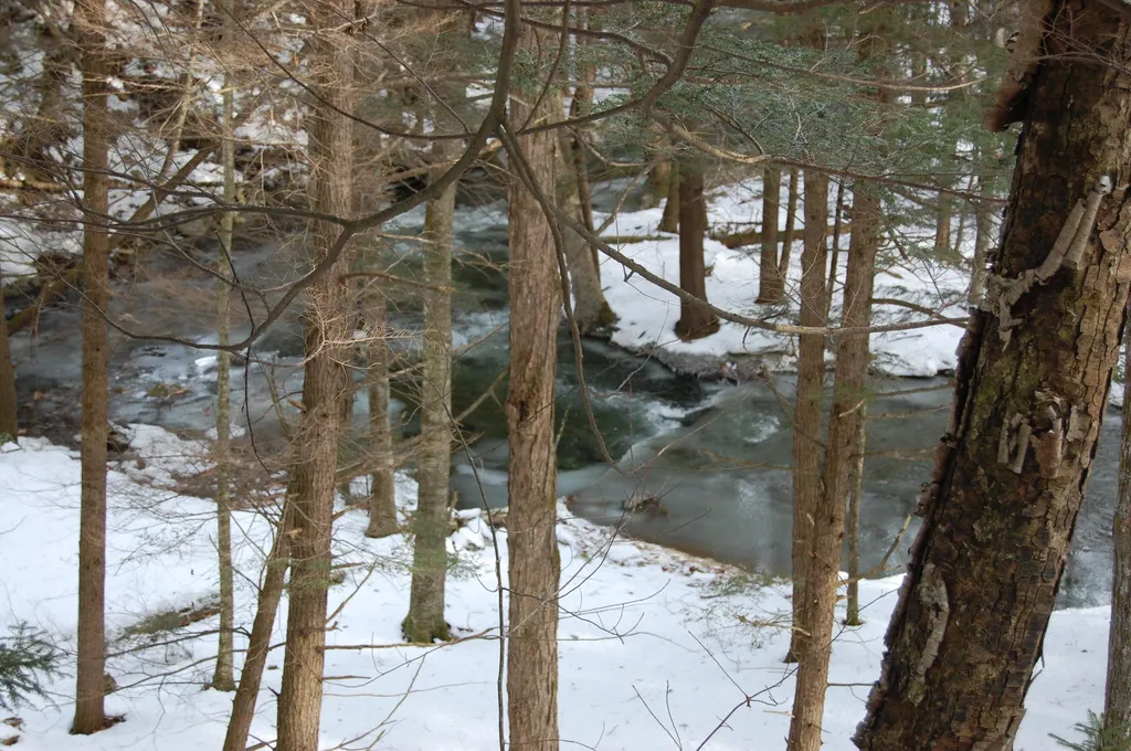 000 Lockwood Brook Road Fayston VT 05673