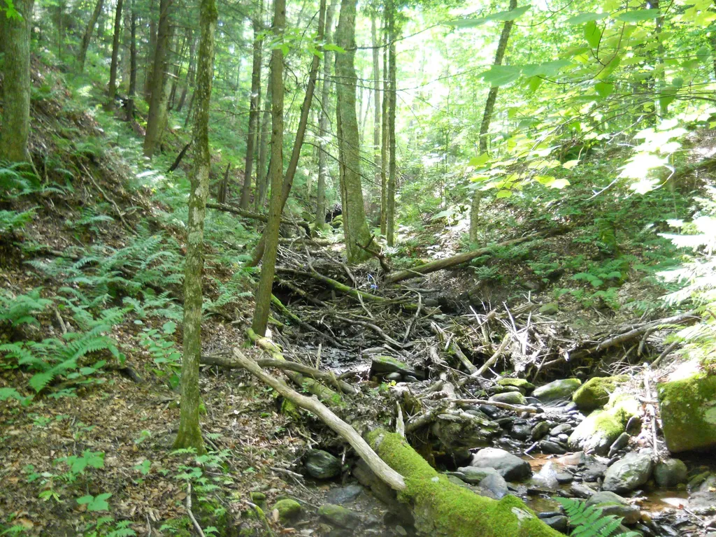 000 Lockwood Brook Road Fayston VT 05673