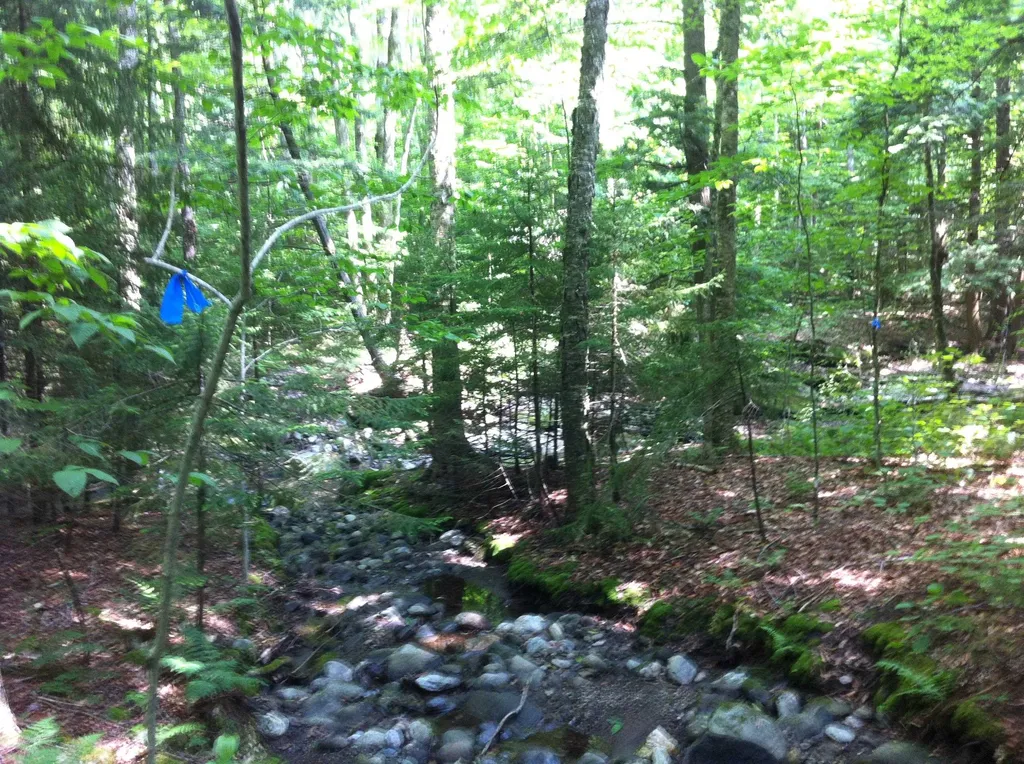 000 Lockwood Brook Road Fayston VT 05673