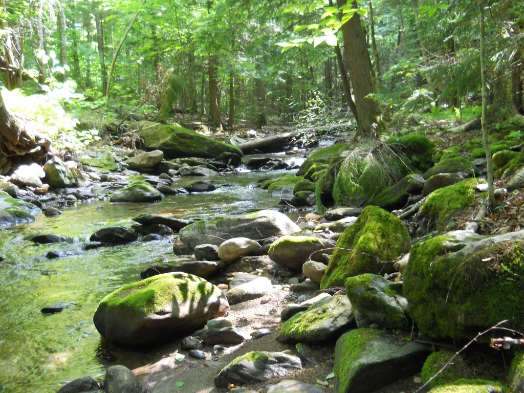 000 Lockwood Brook Road Fayston VT 05673