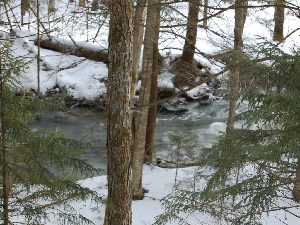 000 Lockwood Brook Road Fayston VT 05673