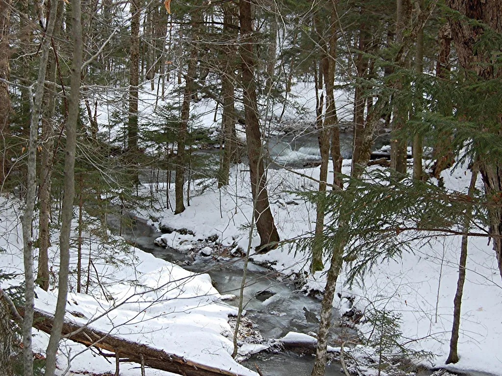 000 Lockwood Brook Road Fayston VT 05673