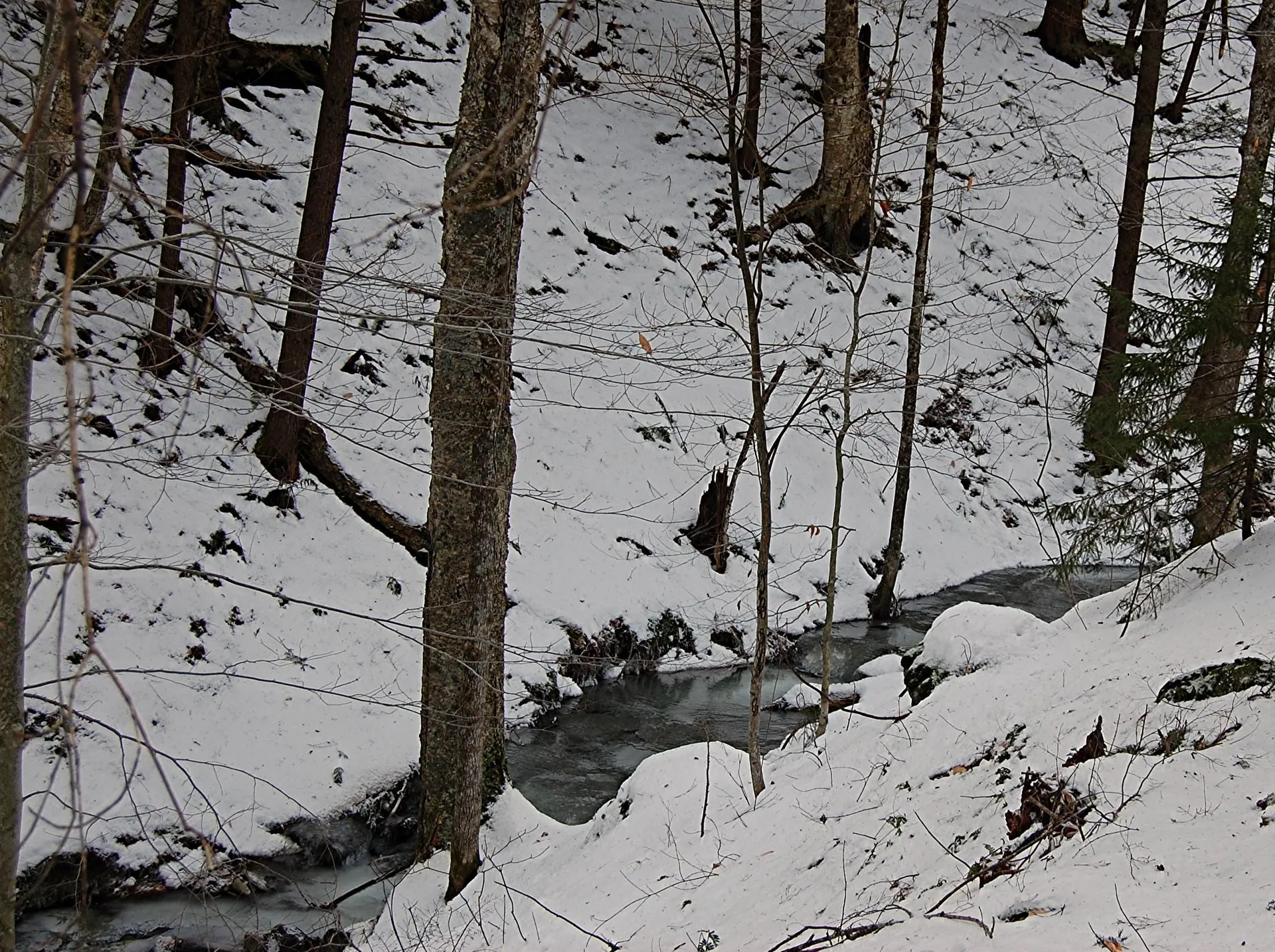 000 Lockwood Brook Road Fayston VT 05673