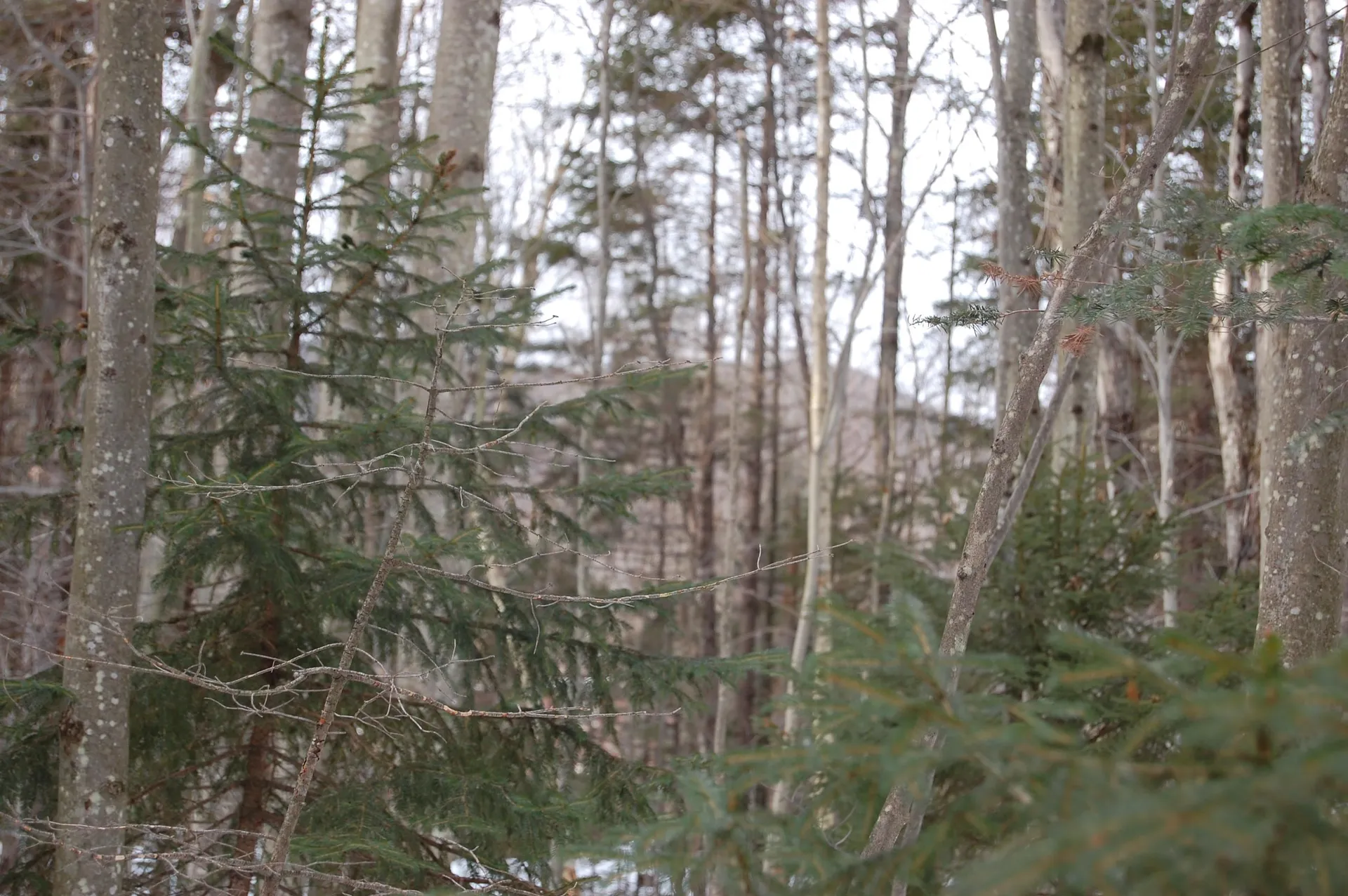 000 Lockwood Brook Road Fayston VT 05673