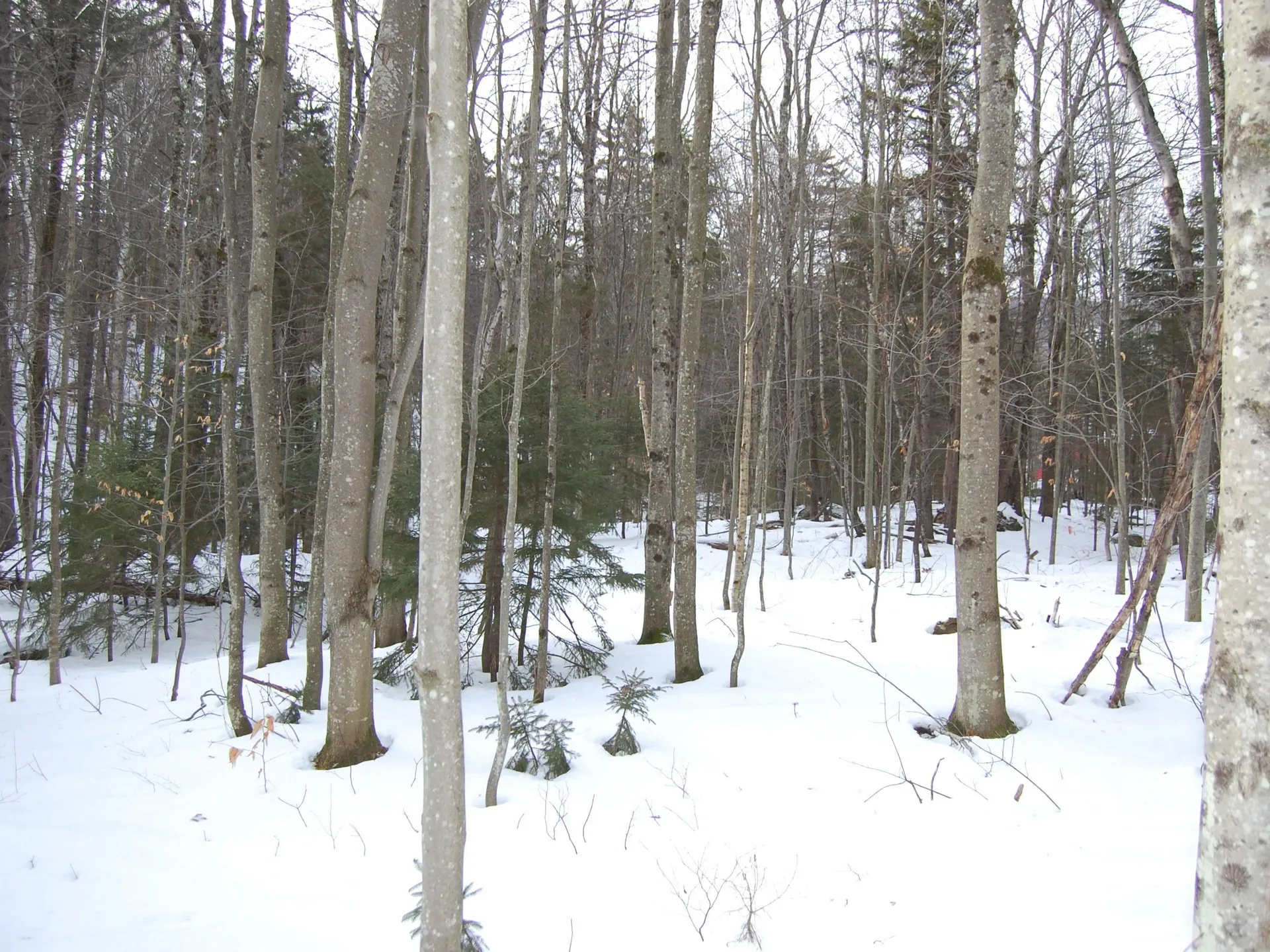 000 Lockwood Brook Road Fayston VT 05673