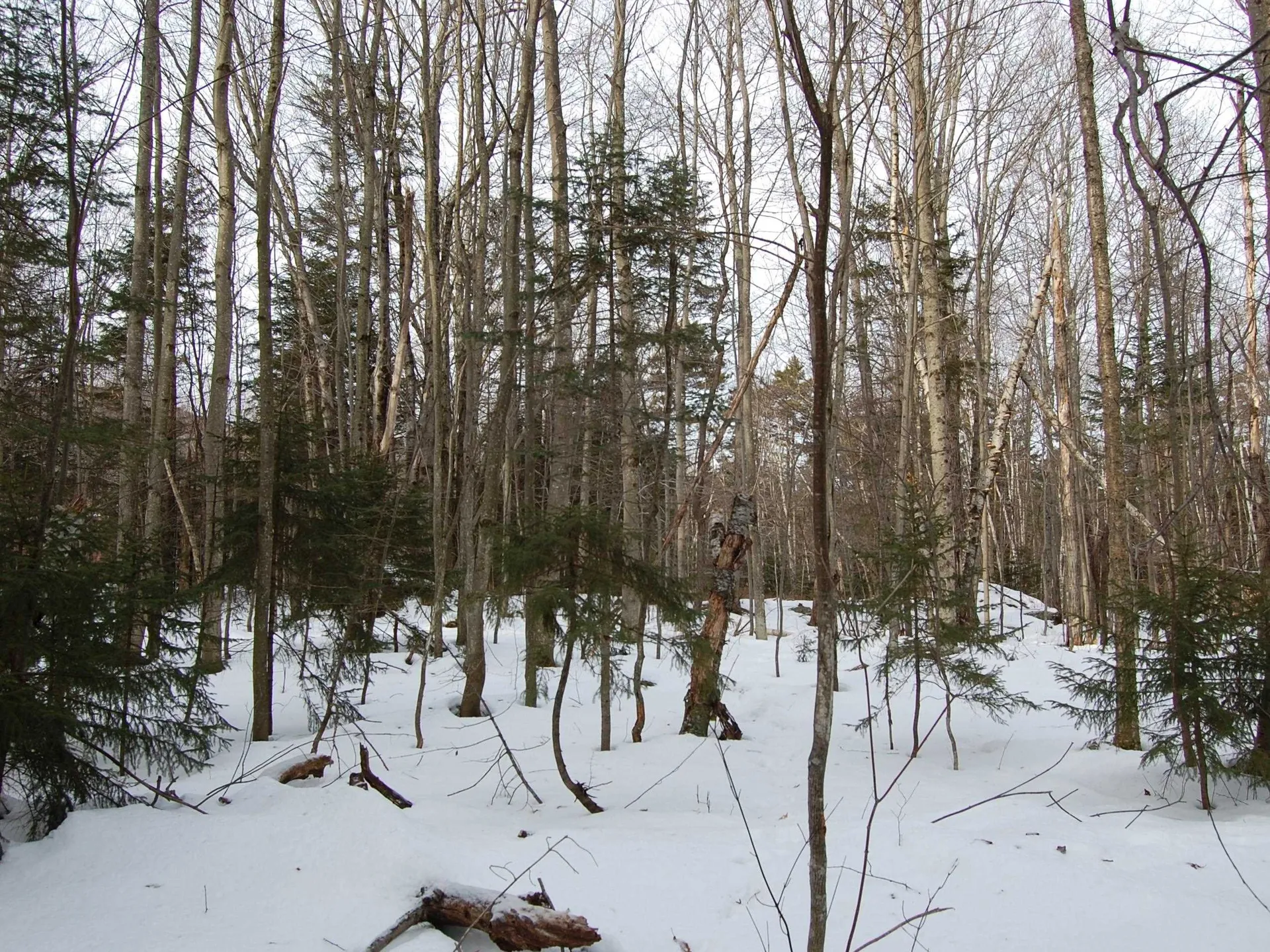 000 Lockwood Brook Road Fayston VT 05673