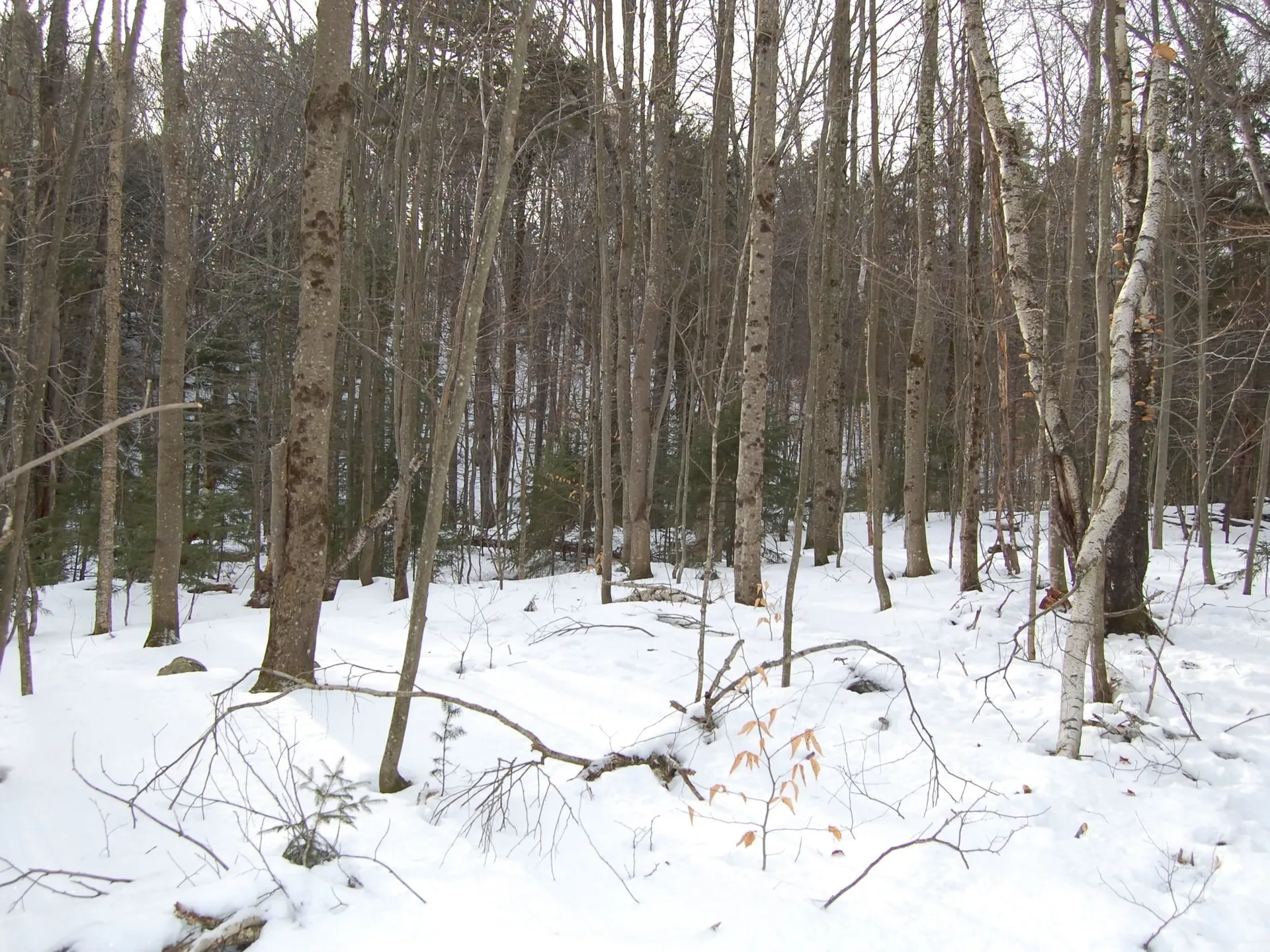 000 Lockwood Brook Road Fayston VT 05673