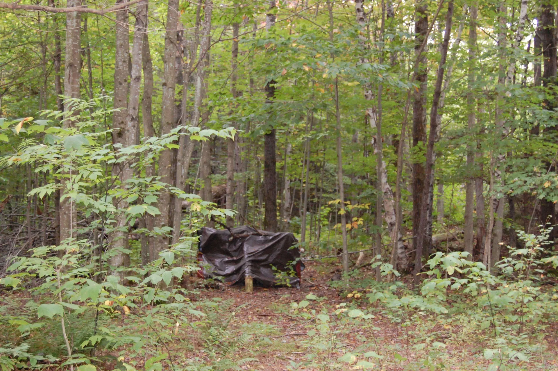 000 Lockwood Brook Road Fayston VT 05673