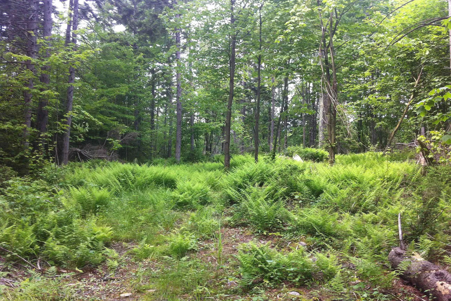 000 Lockwood Brook Road Fayston VT 05673