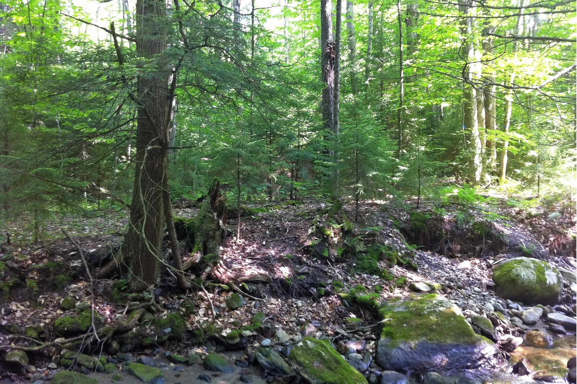 000 Lockwood Brook Road Fayston VT 05673