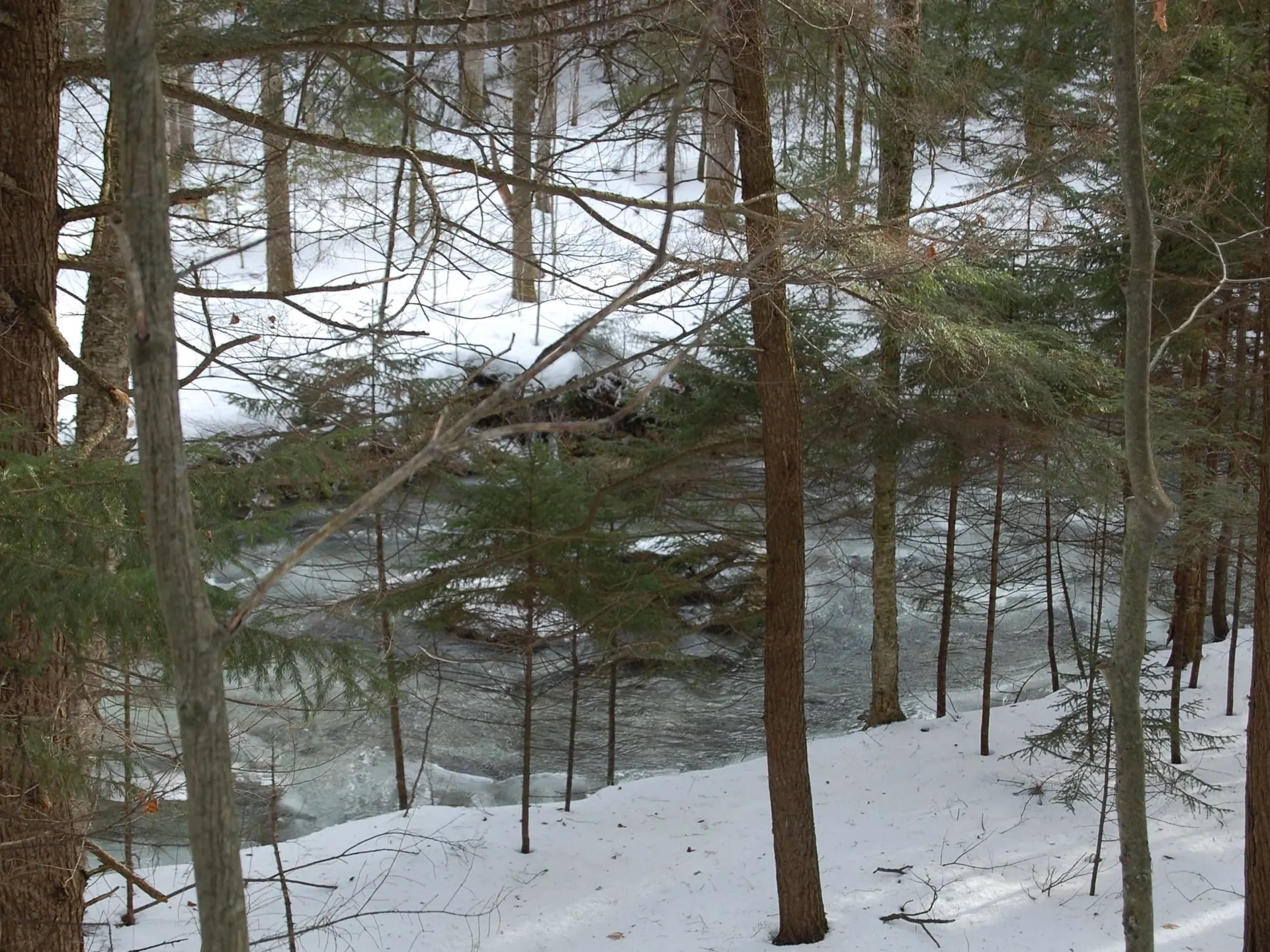 000 Lockwood Brook Road Fayston VT 05673