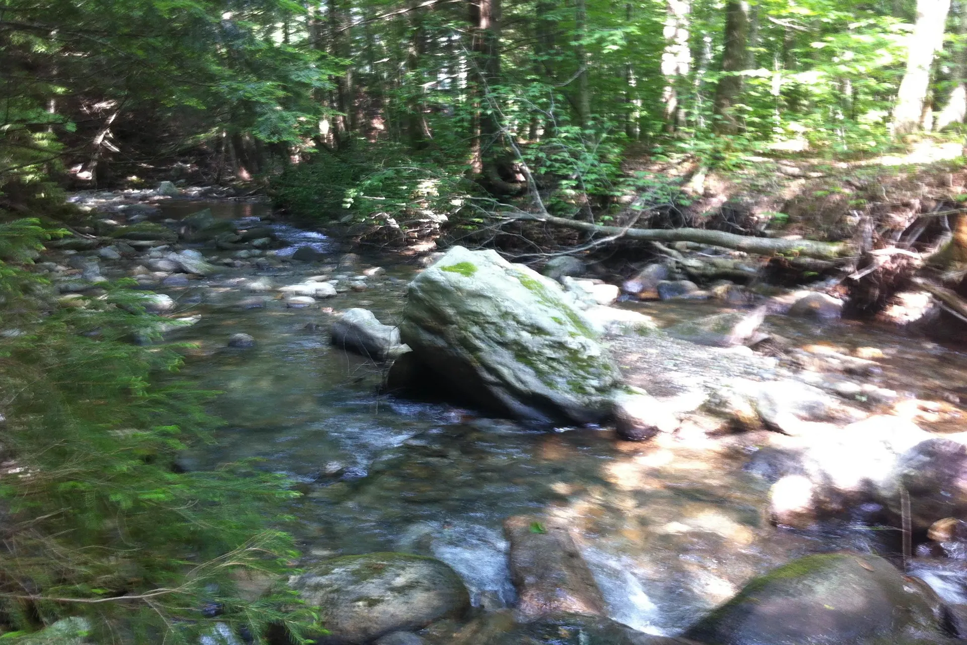 000 Lockwood Brook Road Fayston VT 05673