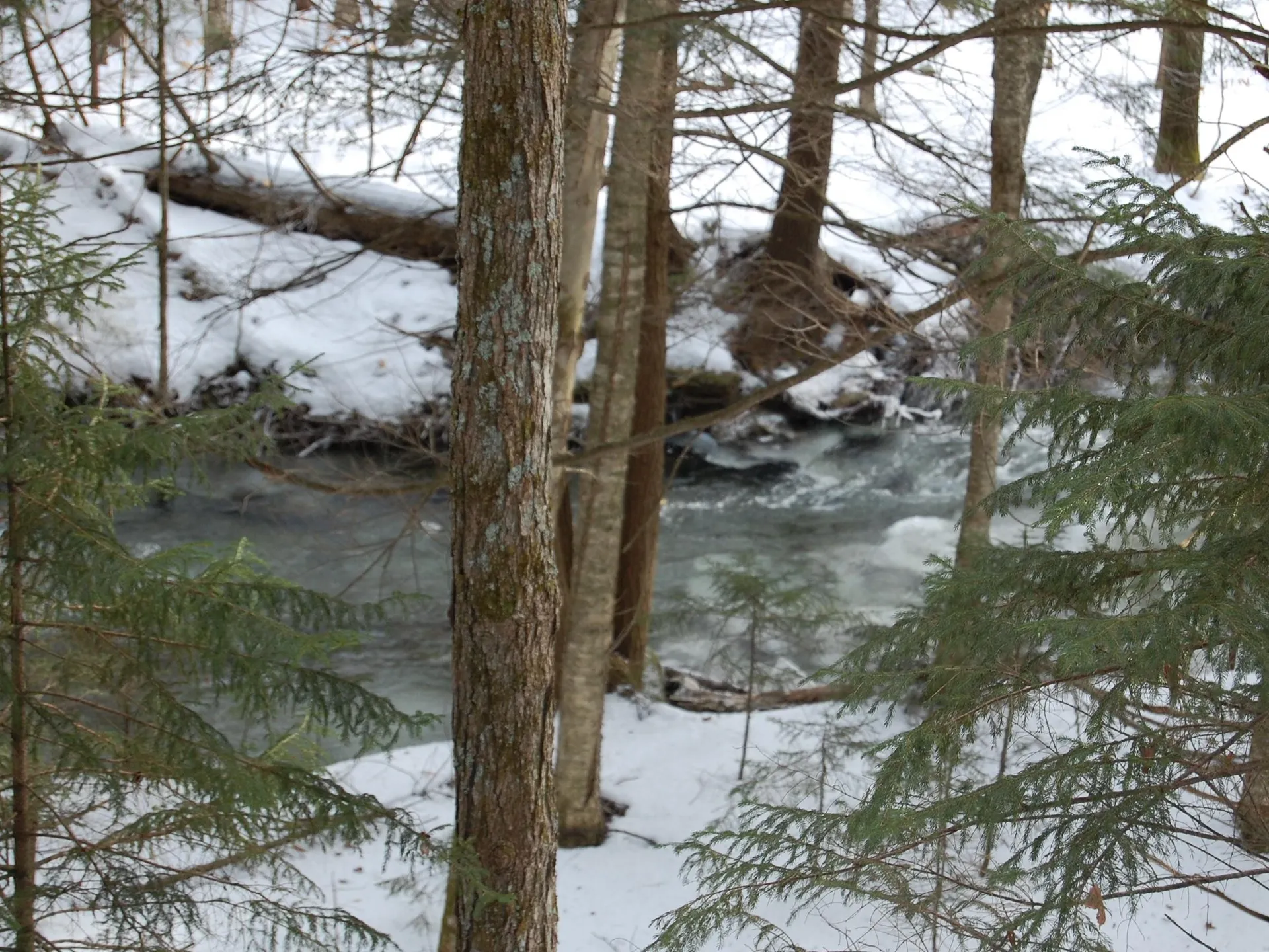 000 Lockwood Brook Road Fayston VT 05673