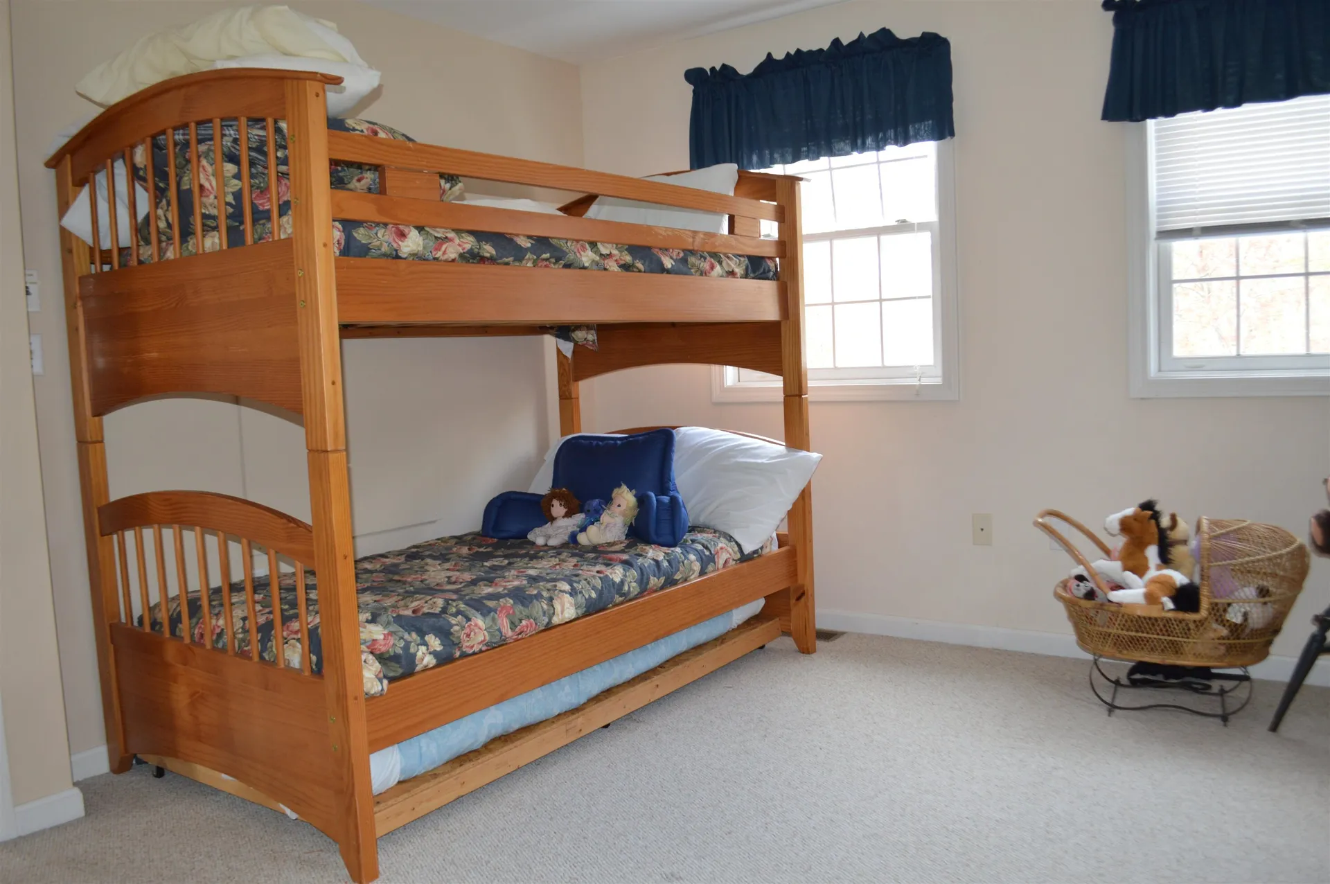 163 Dewitt Drive Alton NH 03809