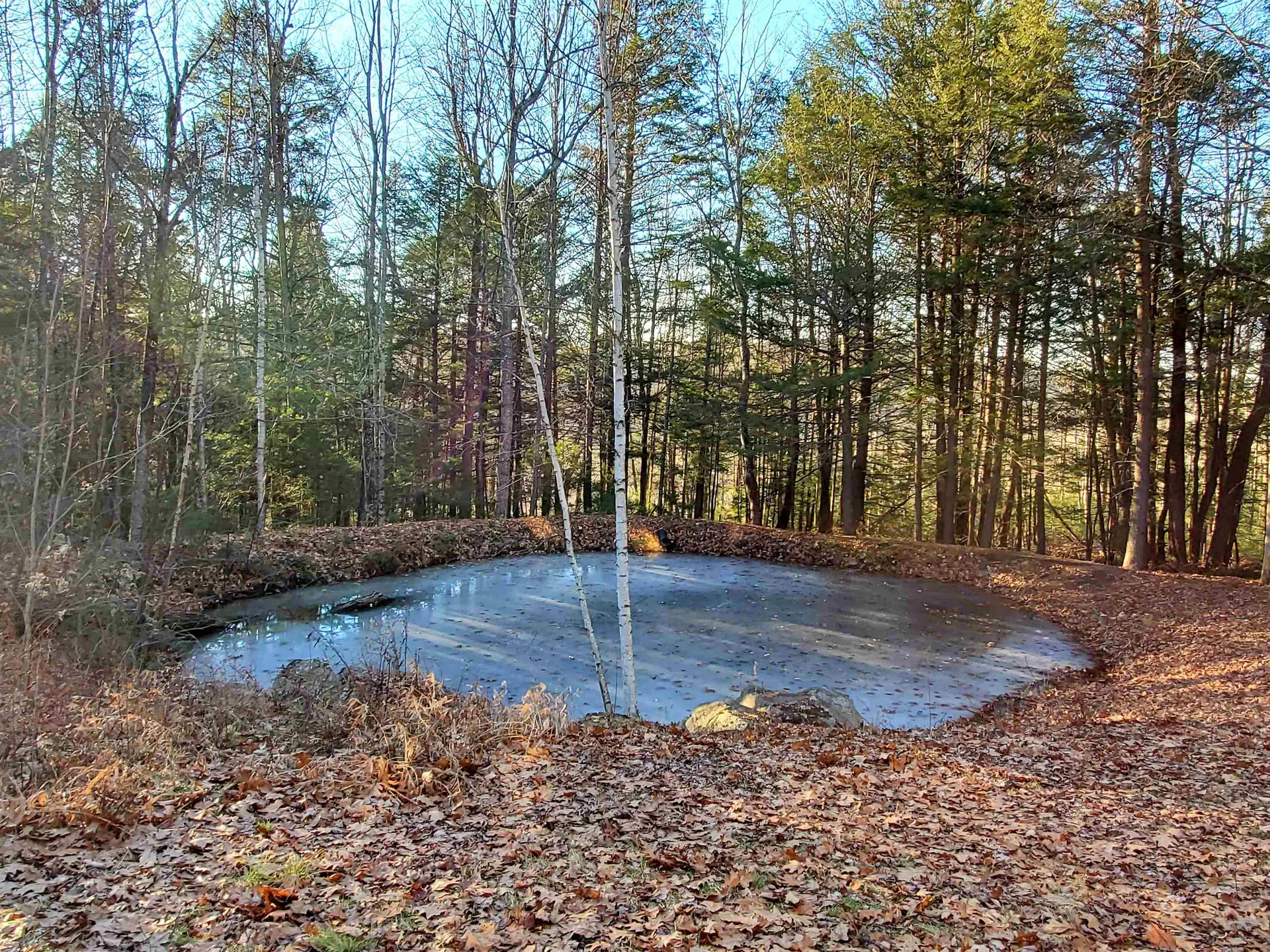 119 Searle Hill Road Danbury NH 03230