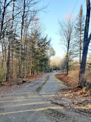 119 Searle Hill Road Danbury NH 03230