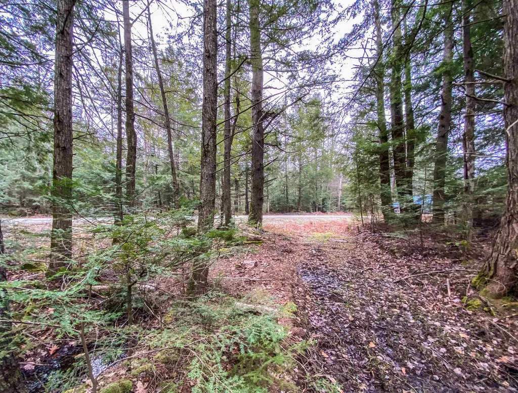 168 Potato Road Enfield NH 03748