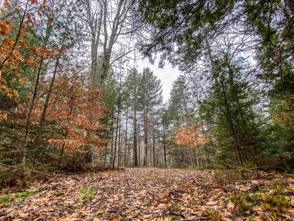 168 Potato Road Enfield NH 03748