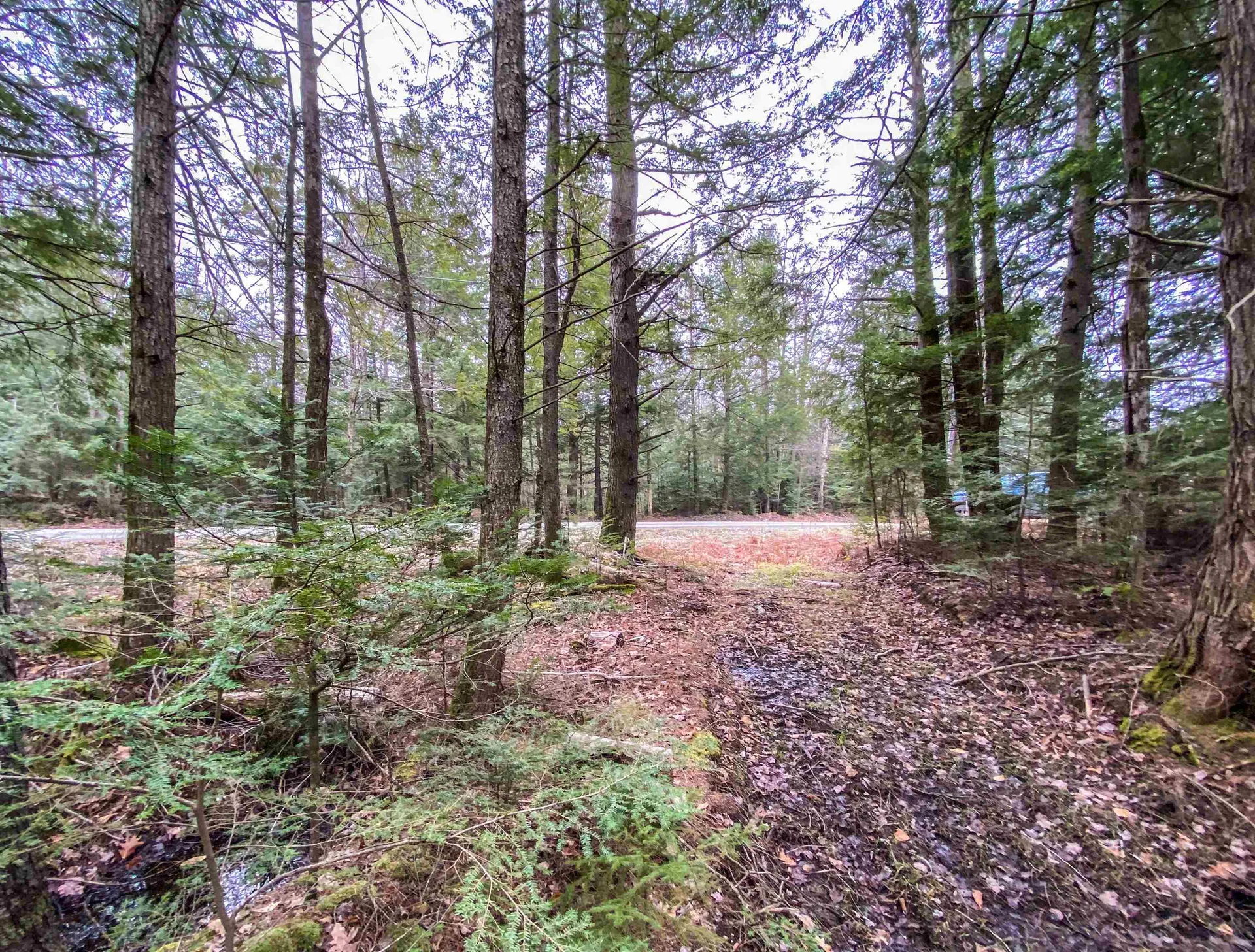 168 Potato Road Enfield NH 03748