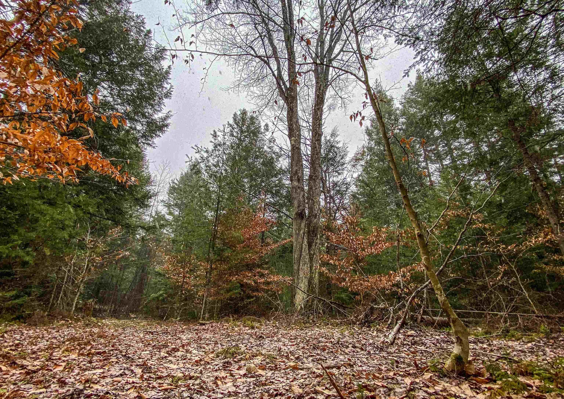 168 Potato Road Enfield NH 03748