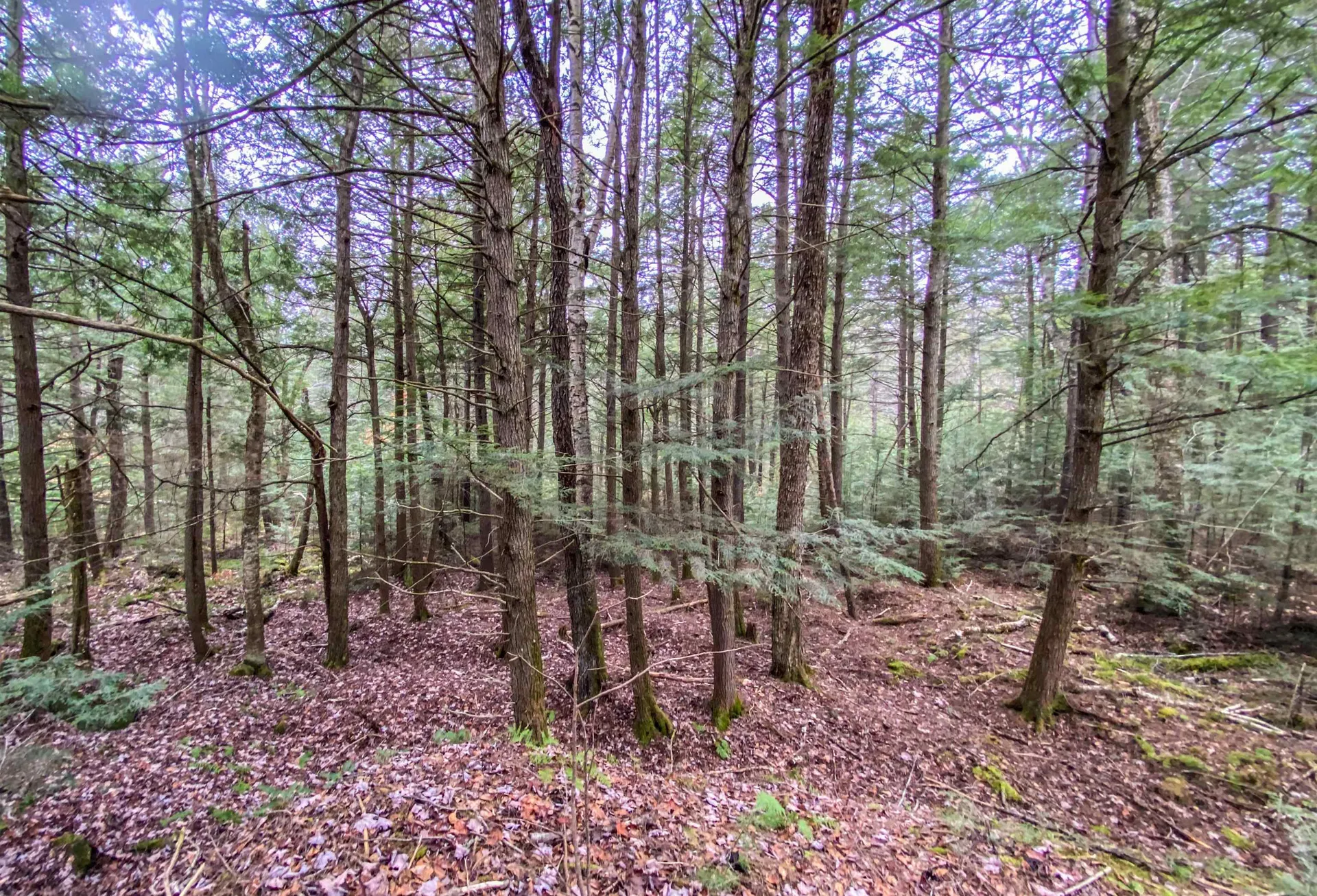 168 Potato Road Enfield NH 03748