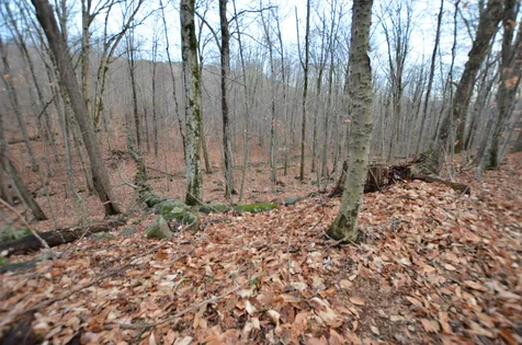 161 Crotched Mountain Road Greenfield NH 03047