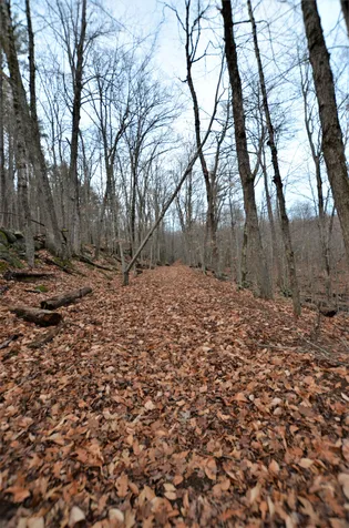161 Crotched Mountain Road Greenfield NH 03047