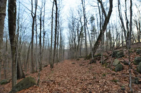 161 Crotched Mountain Road Greenfield NH 03047