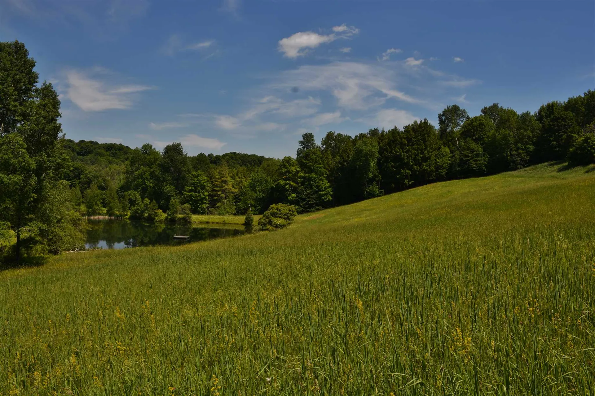 1239 Peterkin Hill Road Woodstock VT 05071