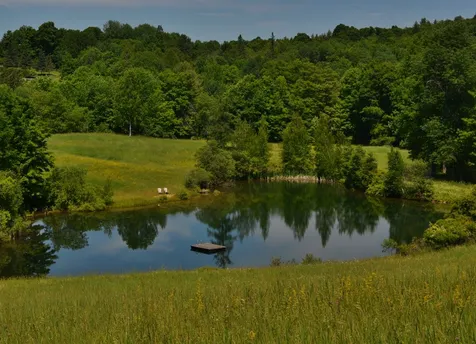 1239 Peterkin Hill Road Woodstock VT 05071