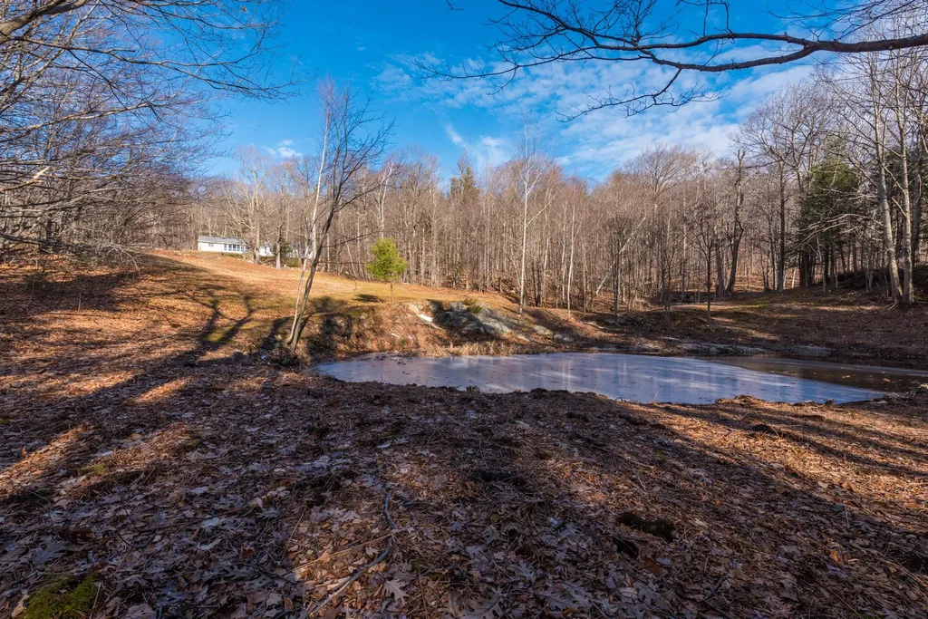 108 Brown Road Newbury NH 03255