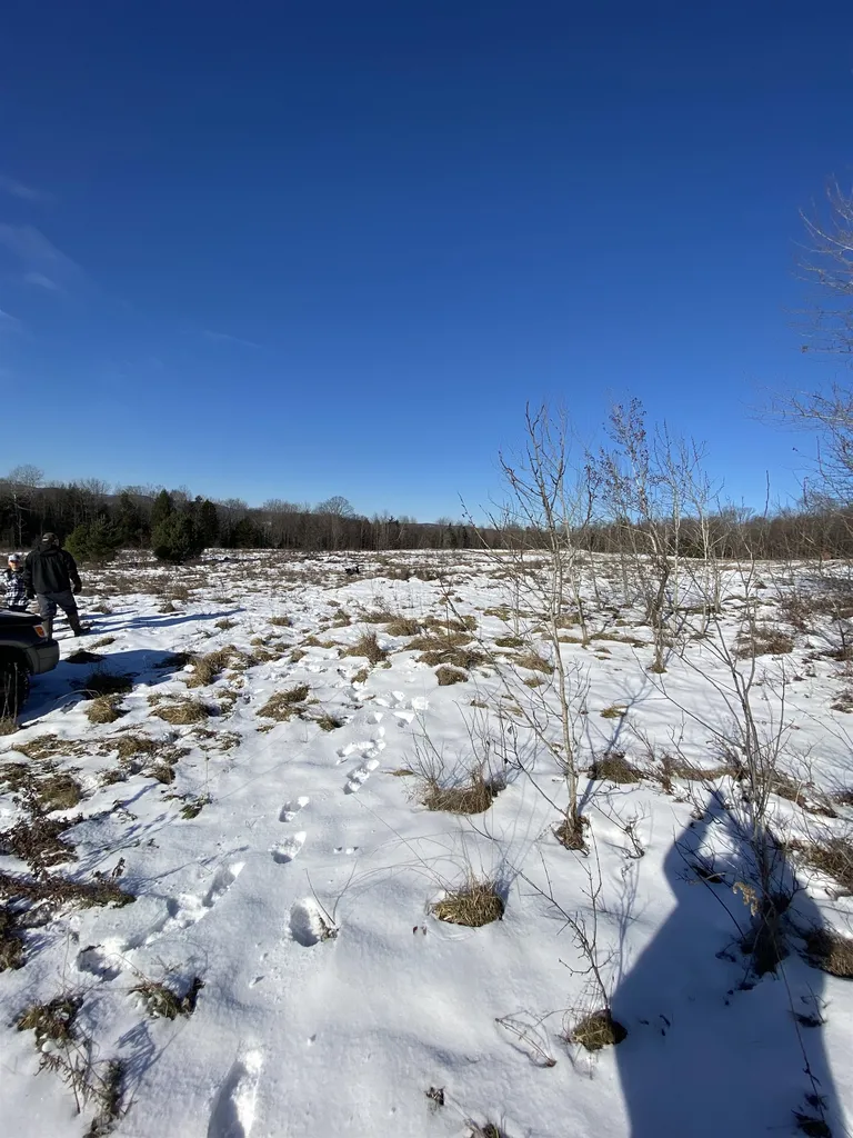 Ridge Road Brookfield VT 05036-0463